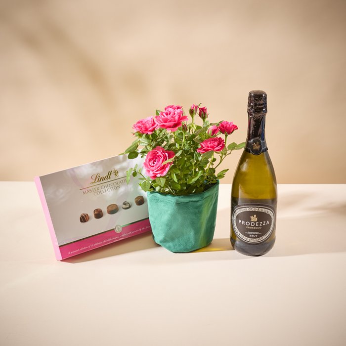 The Bubbles & Blossom Celebration Gift Set