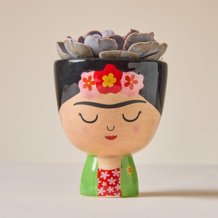 Echeveria Succulent & Frida Kahlo Planter