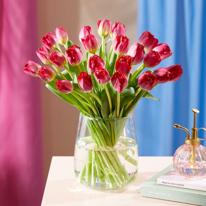 Cerise Tulips Bouquet Cerise Tulips Bouquet