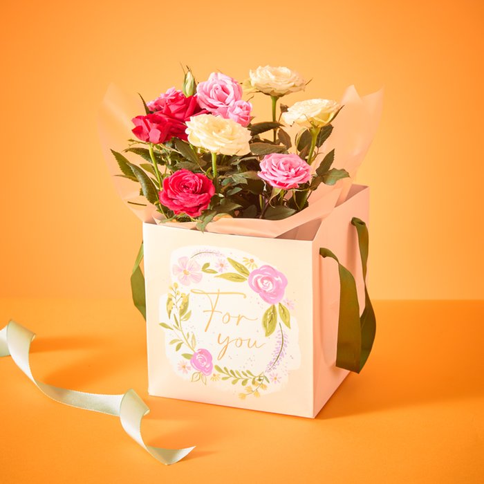 The Tri Colour Roses in Gift Bag