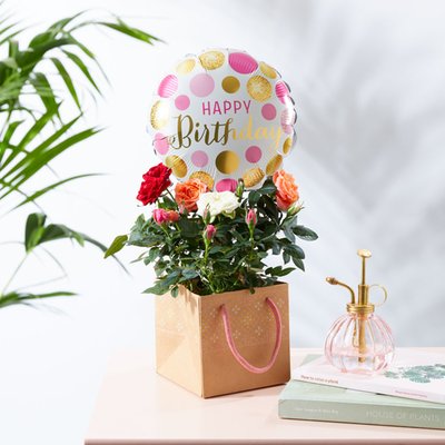 The Birthday Magic Rose and Balloon Gift Set