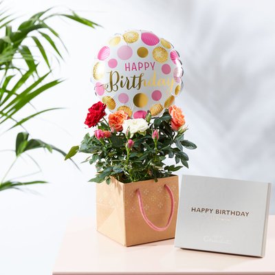 The Ultimate Birthday Magic Rose Gift Set