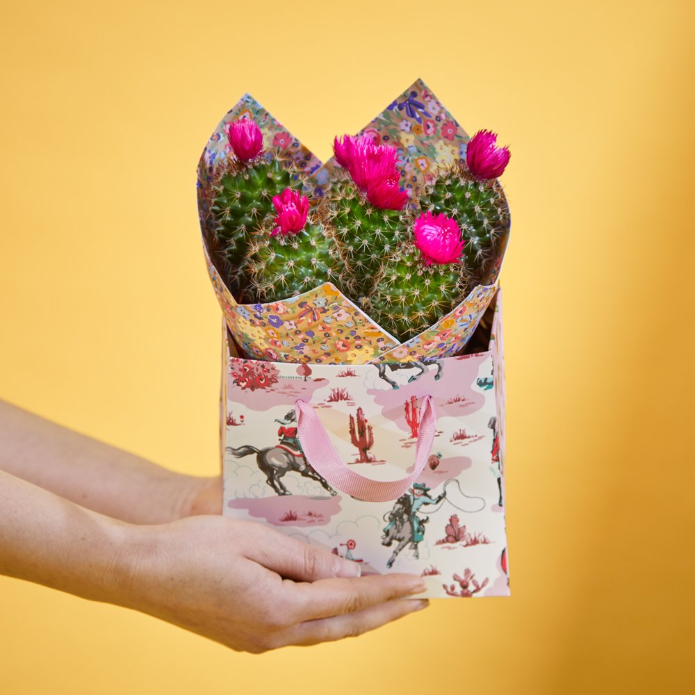 Cath Kidston Desert Dreams Gift Bag Flowers