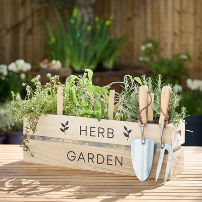 Grow Your Own Herb Garden Planter Hamper