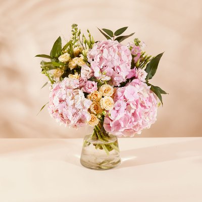 The Blushing Hydrangeas