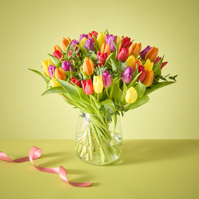 The Abundance of Tulips