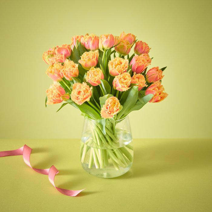 The 25 Peach Fringed Tulips