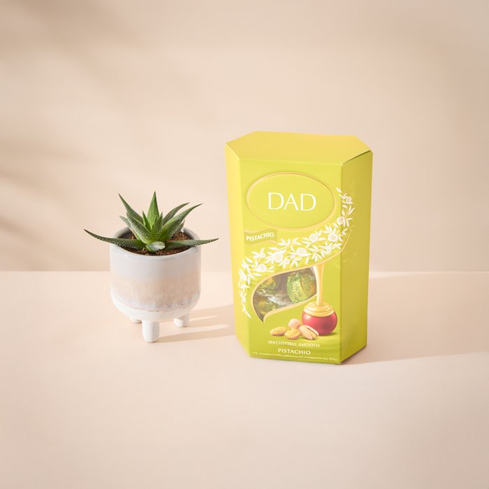 Glazed Planter & Lindt Pistachio Truffles Gift Set