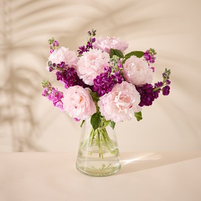 The Mixed Stock Peonies 