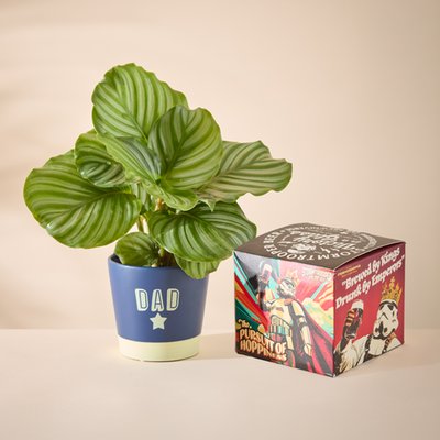 Dad Pot with Calathea and Stormtrooper Beer Gift Set