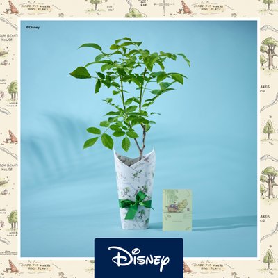Disney Winnie Walnut Tree