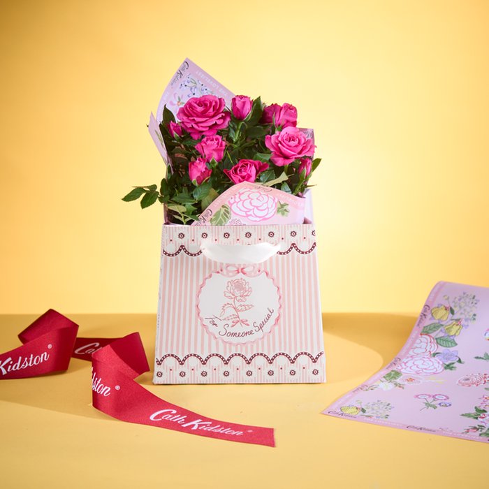 Bobine Différentielle En Aluminium Pour TRAXXAS X-Maxx 1/5 Et XRT 1/6 – Compatible 6S/8S