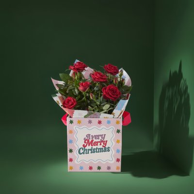 Merry Christmas Rose Plant & Gift Bag