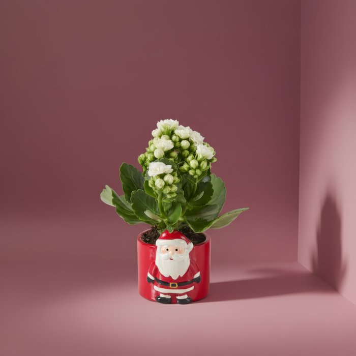 Festive Santa Pot