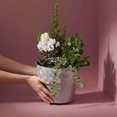 White Winter Planter