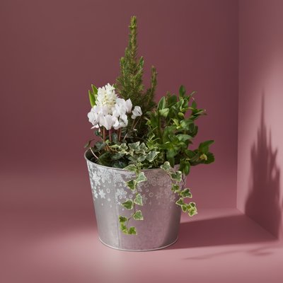 Large Outdoor Planter