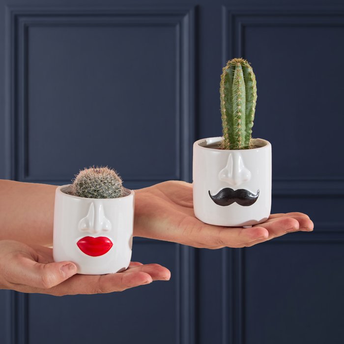 Mr and Mrs Cactus Pots