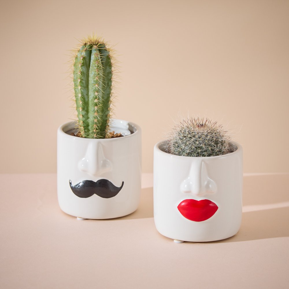 Moonpig Flowers Mr And Mrs Cactus Pots