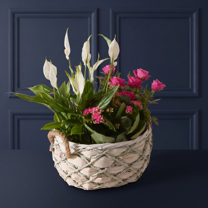 Cerise Rose & Lily Gift Basket