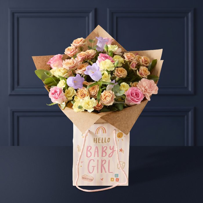 Baby Girl Rose and Carnation Gift Bag