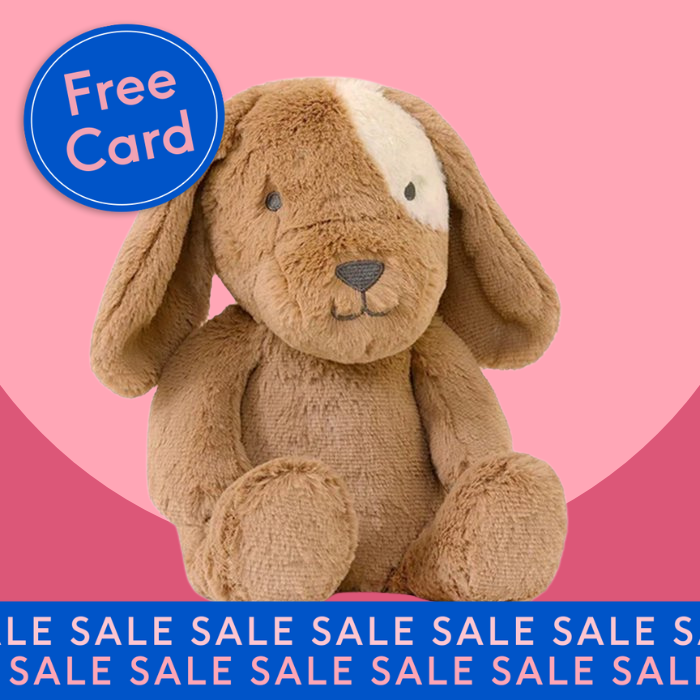 Duke Dog Soft Toy