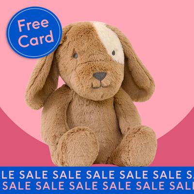 Duke Dog Soft Toy