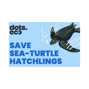 Save a Sea-Turtle Hatchling Gift Card