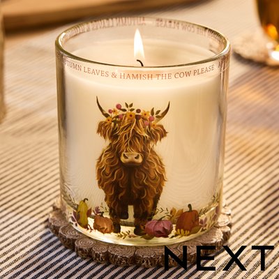 NEXT Hamish the Highland Cow Pumpkin & Ginger Pillar Candle