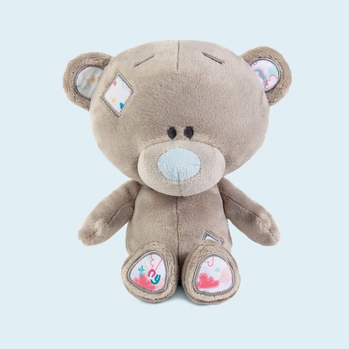 Tatty Teddy 21cm Boxed Soft Toy