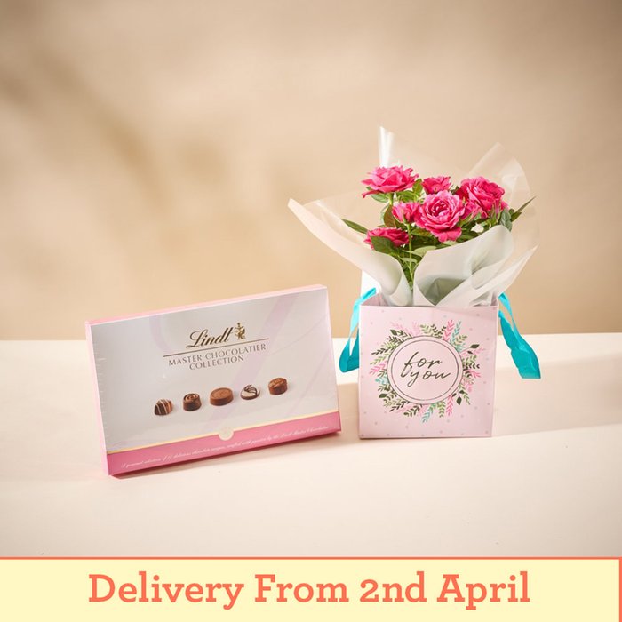 The Rose Plant Gift Bag With Lindt Chocolates