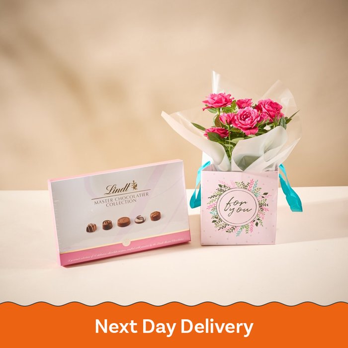 The Rose Plant Gift Bag With Lindt Chocolates