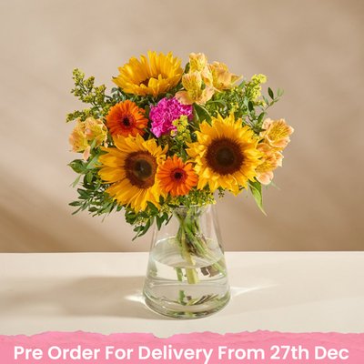 The Birthday Brights