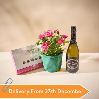 The Bubbles & Blossom Celebration Gift Set