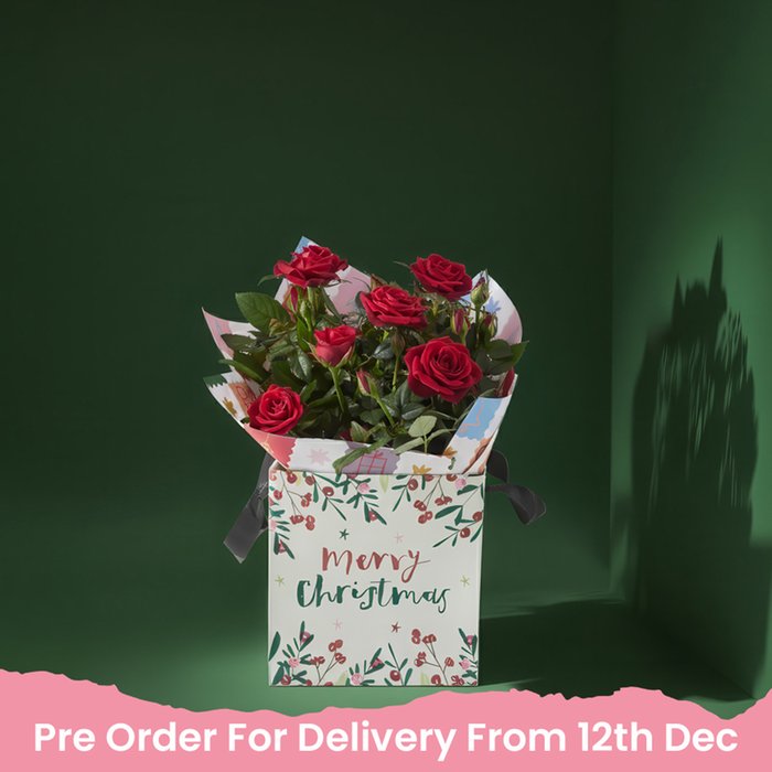 The Christmas Rose Plant Gift Bag