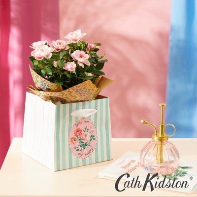 Cath Kidston Bicolor Rose Plant in Gift Bag