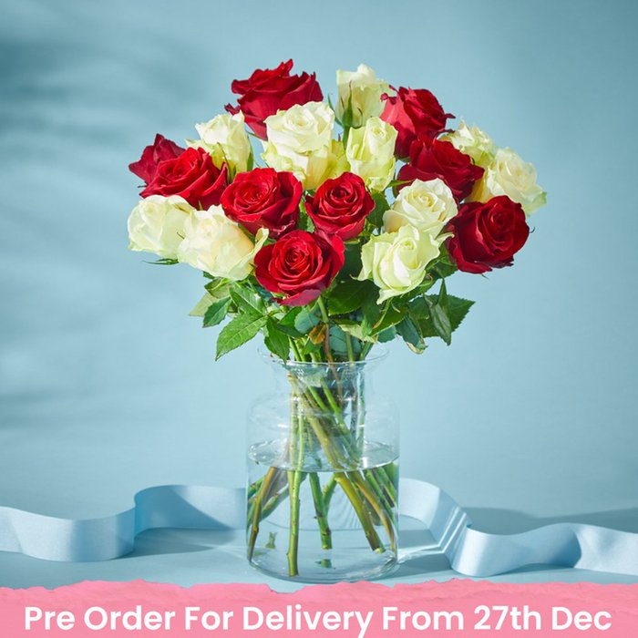 Disney's Minnie Roses