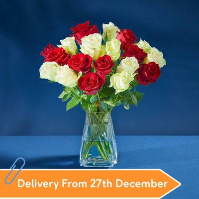 Christmas Mixed Roses