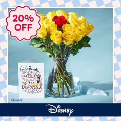 Disney’s Snow White 20 Mixed Roses