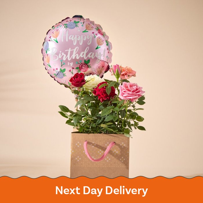 The Birthday Magic Rose and Balloon Gift Set