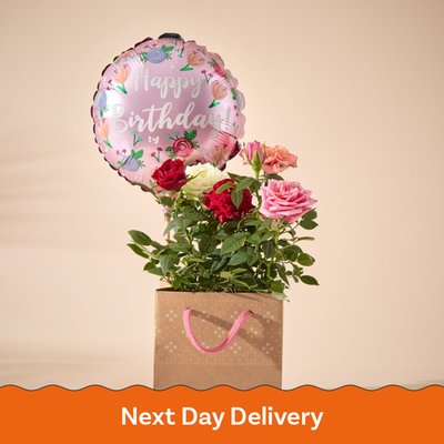 The Birthday Magic Rose and Balloon Gift Set