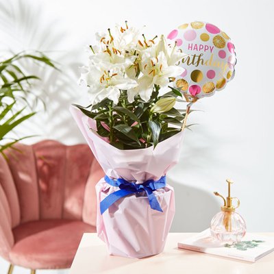 Fragrant Gift Wrapped Lily with Birthday Balloon