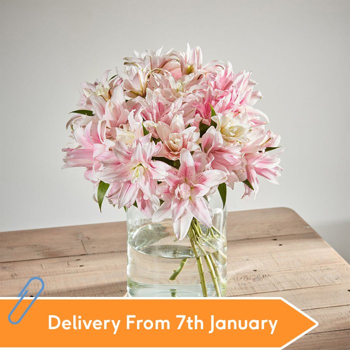 Double Scented Lilies by Arena Flowers