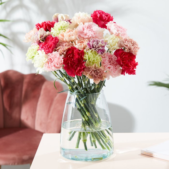Mixed Standard Carnations