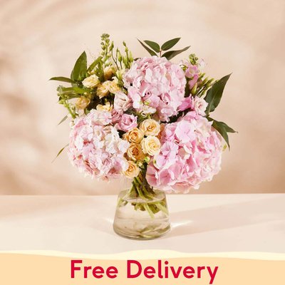 The Blushing Hydrangeas