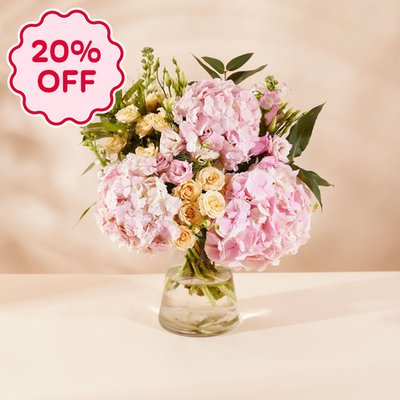 The Blushing Hydrangeas