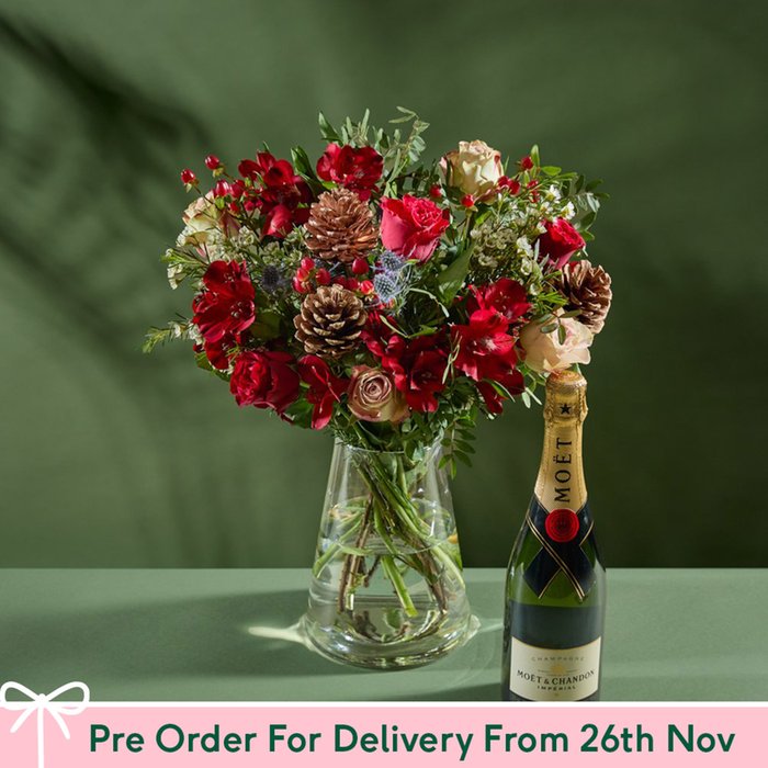 The Winter Wishes Bouquet & Moet Gift Set