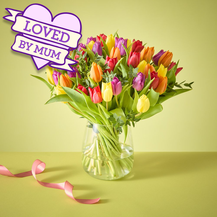 The Abundance of Tulips