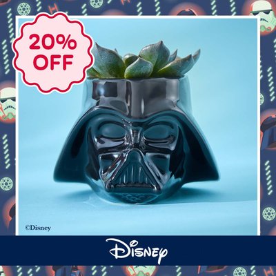 Disney's Darth Vader Mug with New Black Echeveria Plant