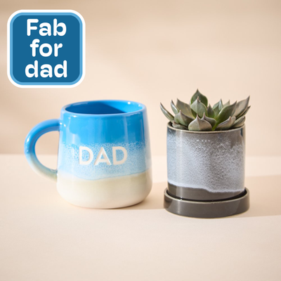 Mini Mojave Midnight with Saucer Pot with DAD Mug Gift Set