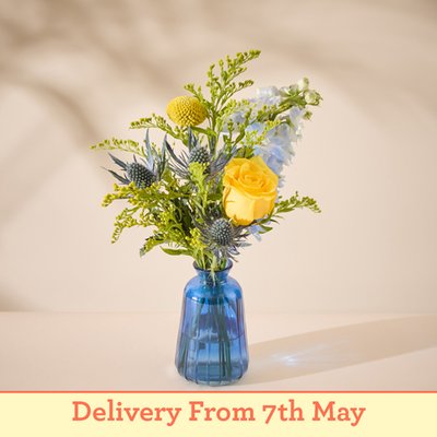 The Blue Posy